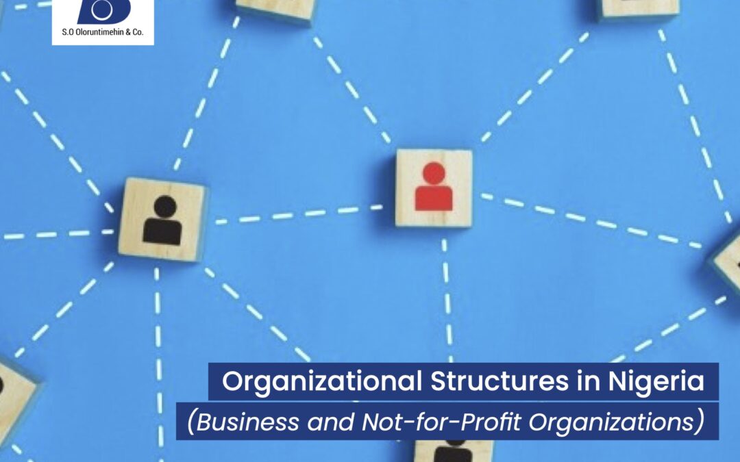Organizational Structures in Nigeria (Business and Not-for-Profit Organizations)